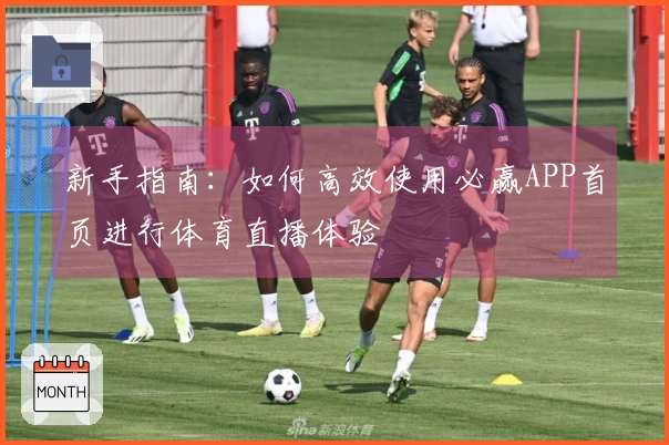 新手指南：如何高效使用必赢APP首页进行体育直播体验
