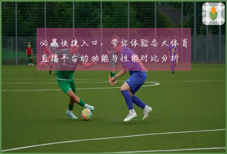 必赢快捷入口，带你体验各大体育直播平台的功能与性能对比分析