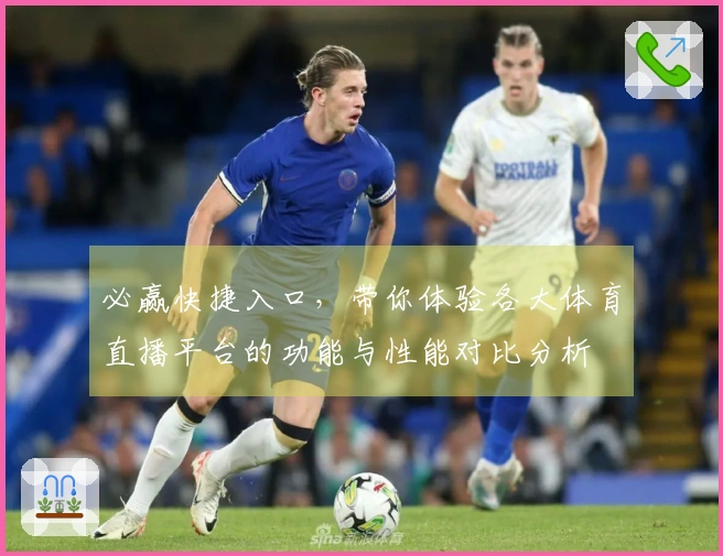 必赢快捷入口，带你体验各大体育直播平台的功能与性能对比分析