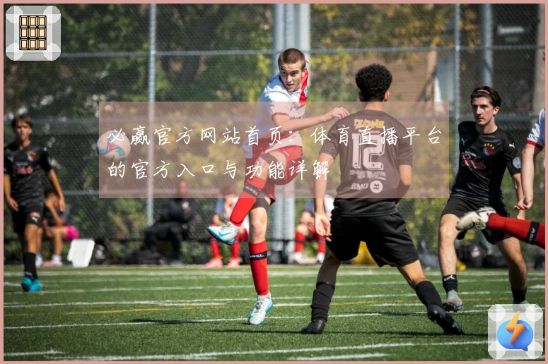 必赢官方网站首页：体育直播平台的官方入口与功能详解
